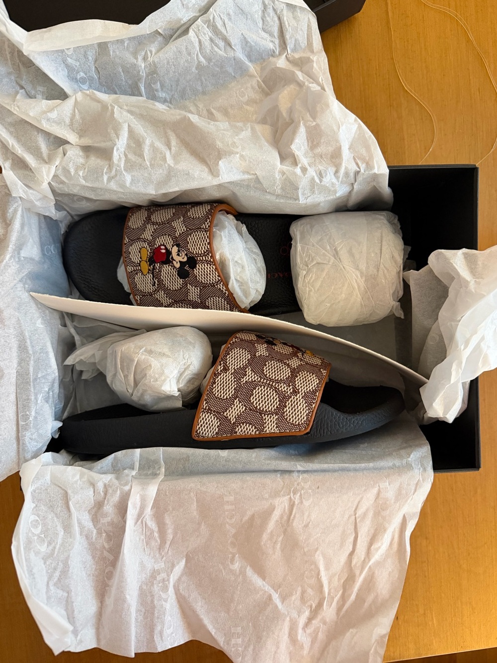 COACH x DISNEY Slides - Picture 5 of 7